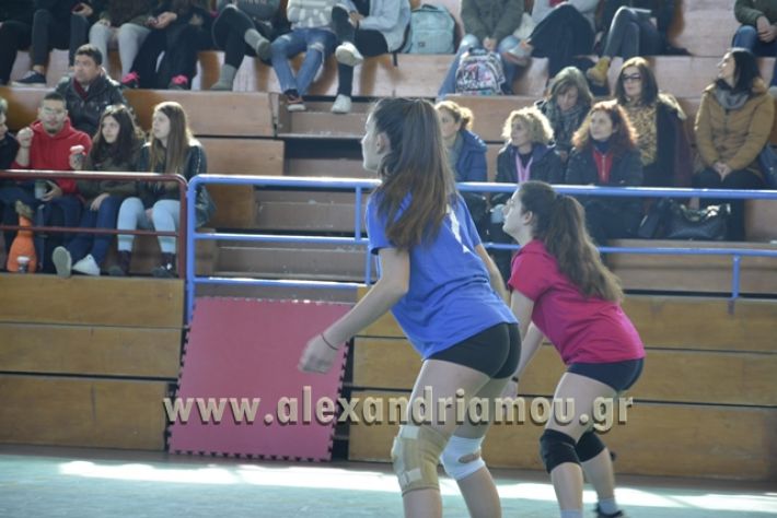 volley_1o-alexandreias-melikis2018 (77)